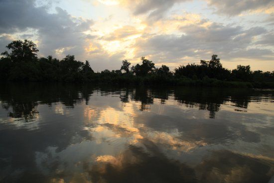 Min Fireflies Garden